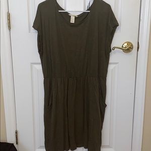 Plus Skater Dress